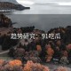 趋势研究：91吃瓜