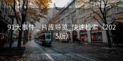 91大事件 _ 片库导览_快速检索（2025版）