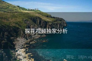 探花视频独家分析
