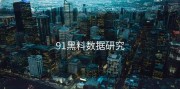 91黑料数据研究