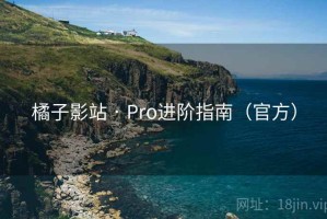 橘子影站 · Pro进阶指南(官方) 橘子影站 · Pro进阶指南(官方)