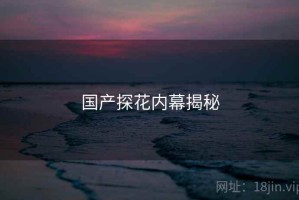 国产探花内幕揭秘