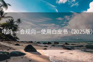 电鸽 — 合规向—使用白皮书（2025版）