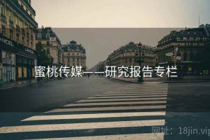 蜜桃传媒——研究报告专栏 蜜桃传媒——研究报告专栏