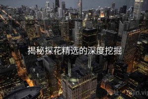 揭秘探花精选的深度挖掘