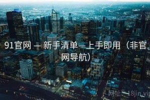 91官网 — 新手清单—上手即用（非官网导航）