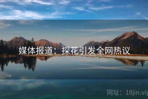 媒体报道：探花引发全网热议