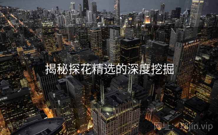 揭秘探花精选的深度挖掘