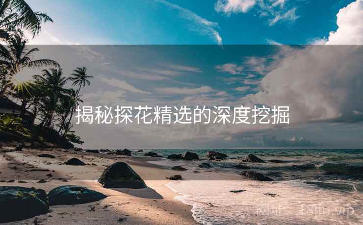 揭秘探花精选的深度挖掘