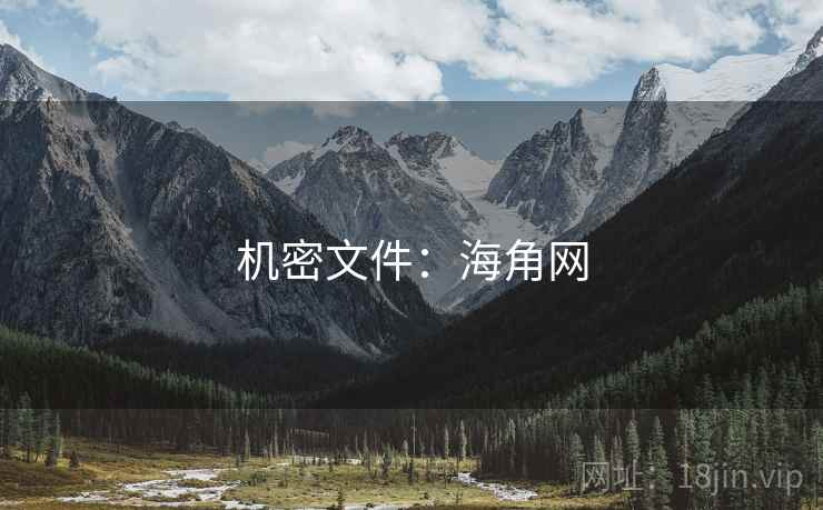 机密文件：海角网