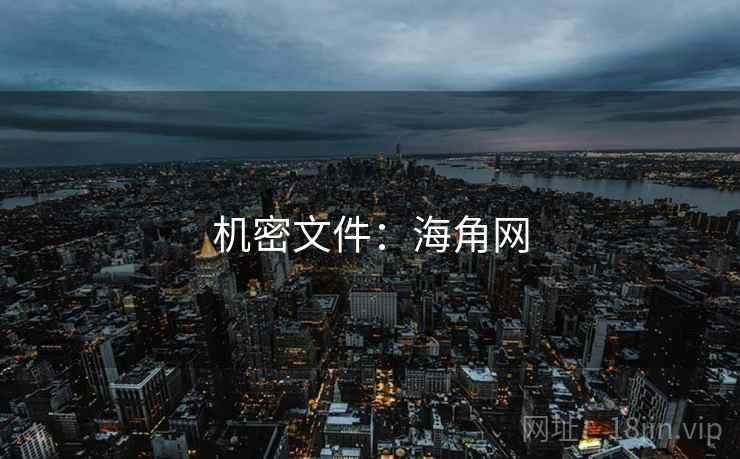 机密文件：海角网
