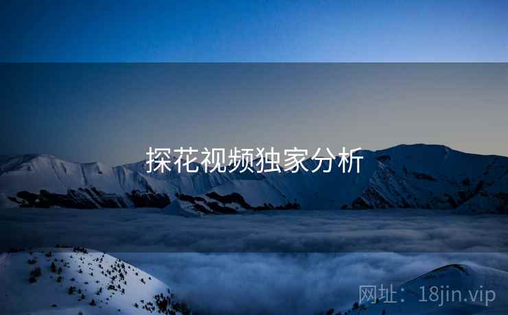 探花视频独家分析