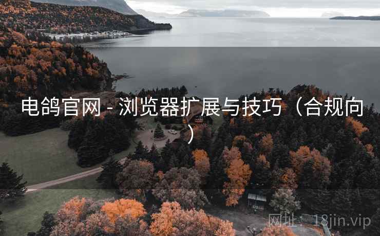 电鸽官网 - 浏览器扩展与技巧（合规向）