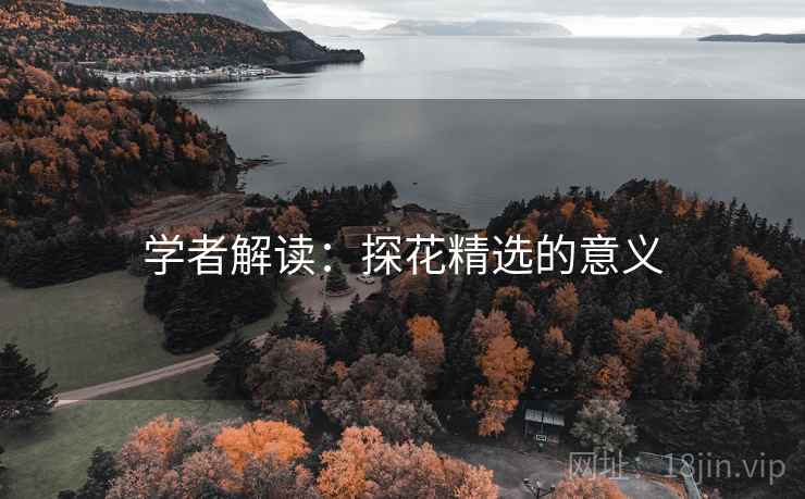 学者解读：探花精选的意义