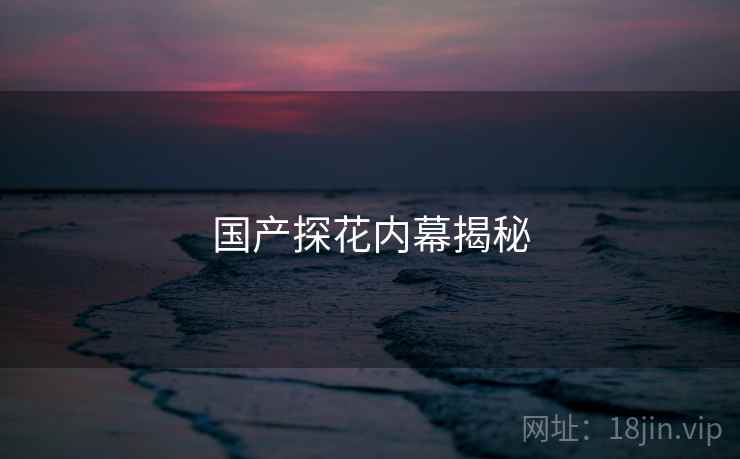 国产探花内幕揭秘 国产探花内幕揭秘