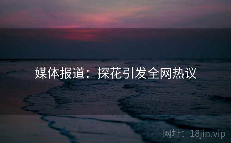 媒体报道:探花引发全网热议 媒体报道:探花引发全网热议